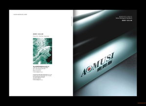 佛山品牌策劃公司 從企業策劃、形象設計到品牌設計的全案服務