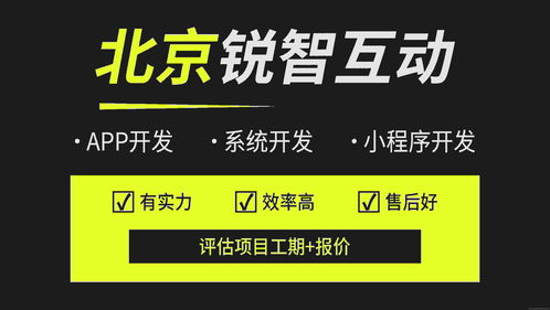 北京IT系統軟件外包服務 助力企業數字化轉型的智慧選擇